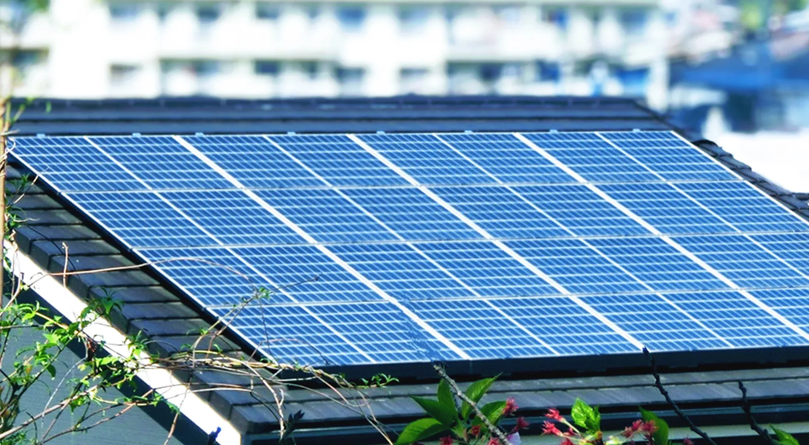 住宅の屋根に設置された太陽光パネル
